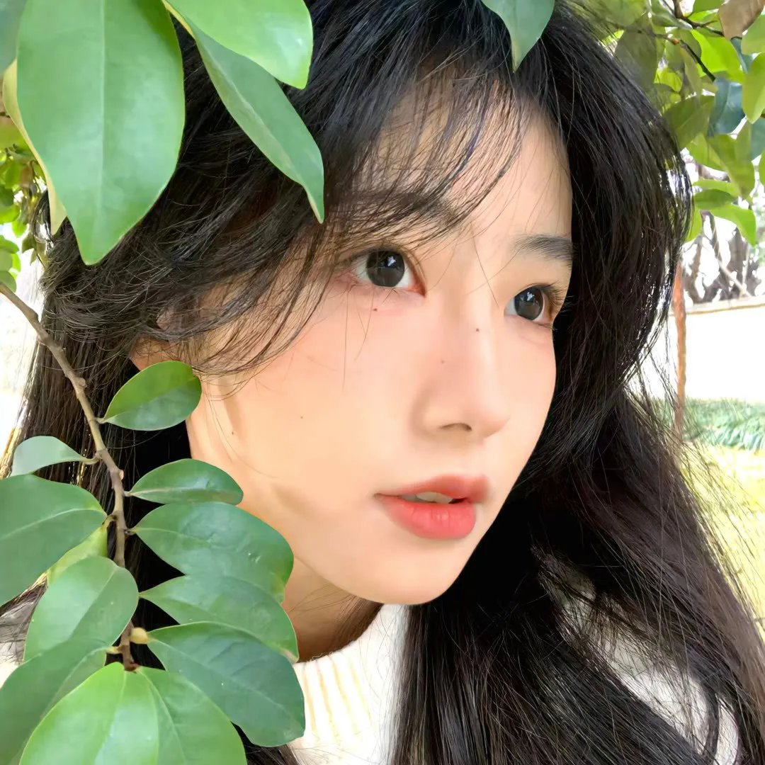玉女迷春