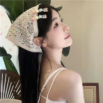 美国派2